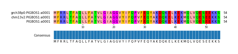 Multiple Alignments (by translate haplotype similarity)