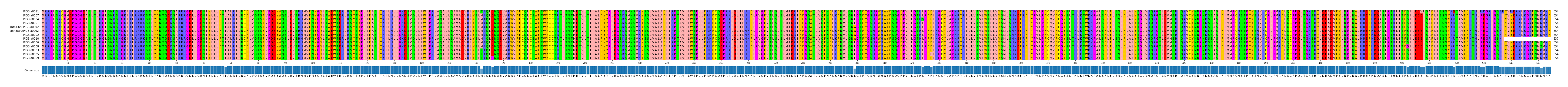 Multiple Alignments (by translate haplotype similarity)