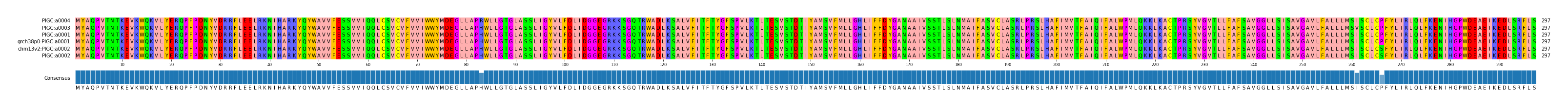 Multiple Alignments (by translate haplotype similarity)