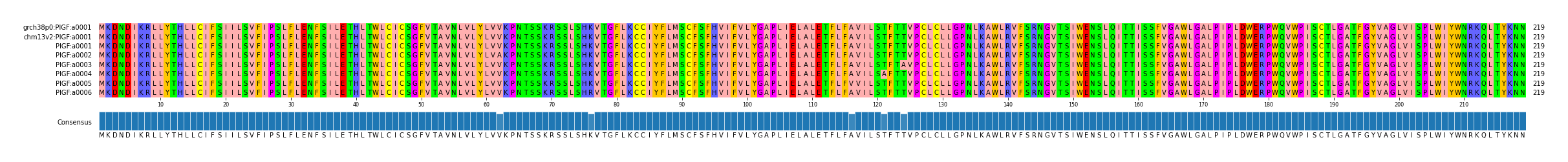 Multiple Alignments (by translate haplotype frequency)