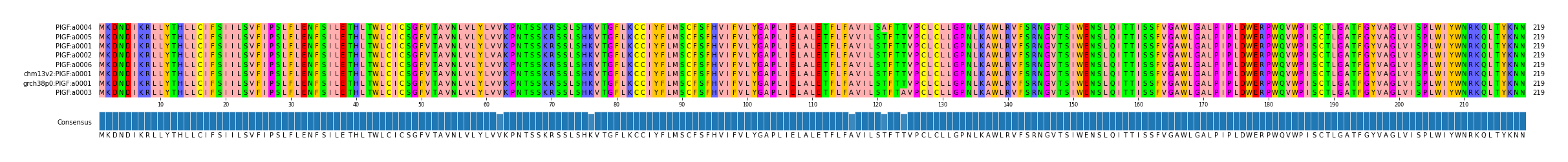 Multiple Alignments (by translate haplotype similarity)