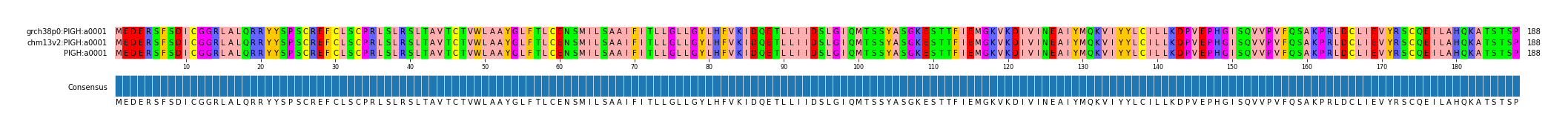 Multiple Alignments (by translate haplotype similarity)