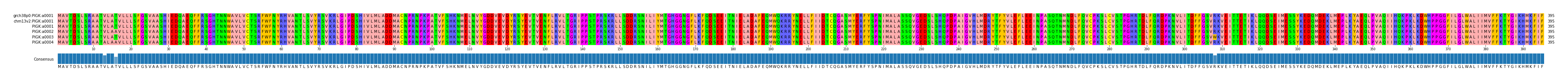 Multiple Alignments (by translate haplotype frequency)