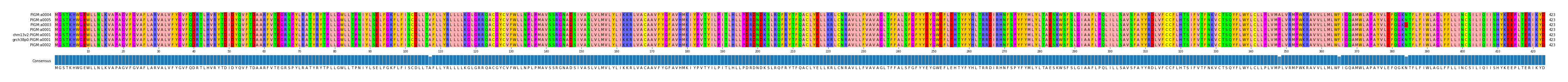 Multiple Alignments (by translate haplotype similarity)