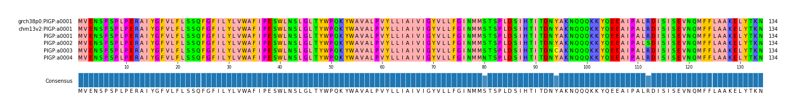 Multiple Alignments (by translate haplotype frequency)