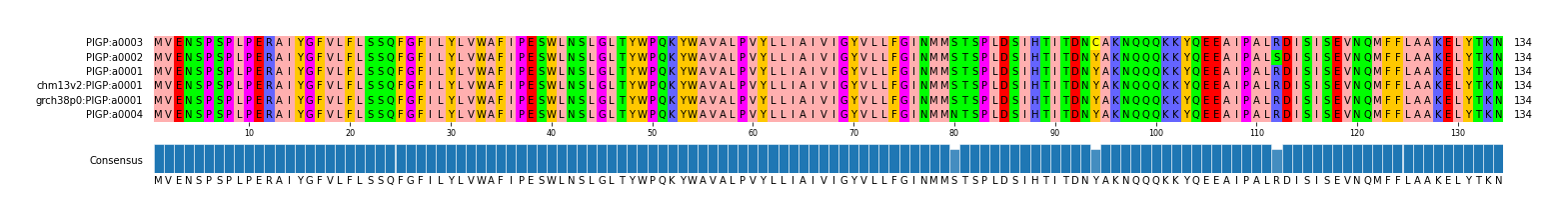 Multiple Alignments (by translate haplotype similarity)