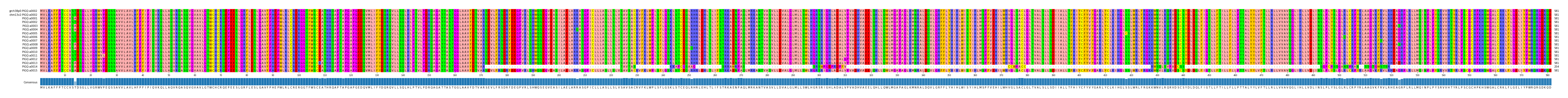 Multiple Alignments (by translate haplotype frequency)