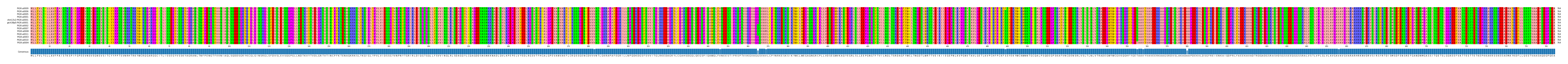 Multiple Alignments (by translate haplotype similarity)