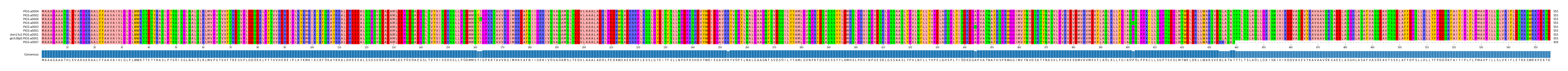 Multiple Alignments (by translate haplotype similarity)