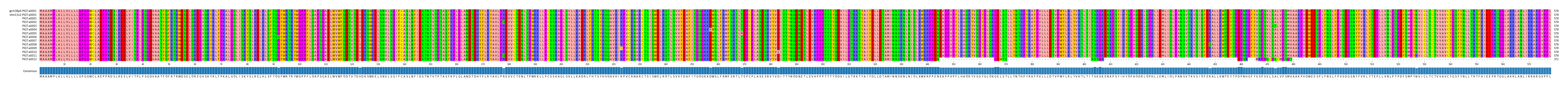 Multiple Alignments (by translate haplotype frequency)