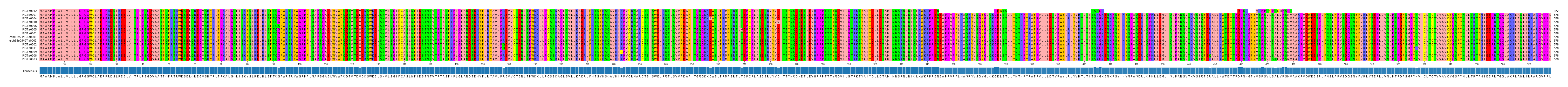 Multiple Alignments (by translate haplotype similarity)
