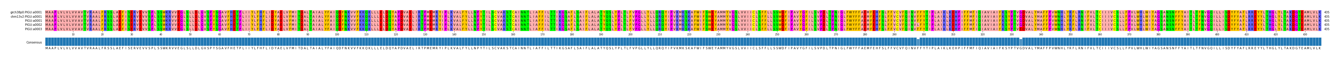Multiple Alignments (by translate haplotype frequency)