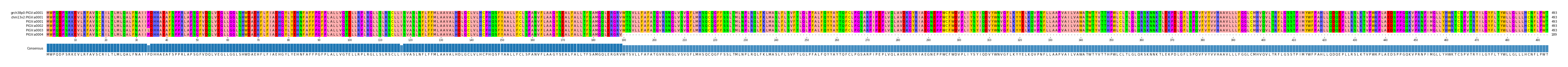 Multiple Alignments (by translate haplotype frequency)