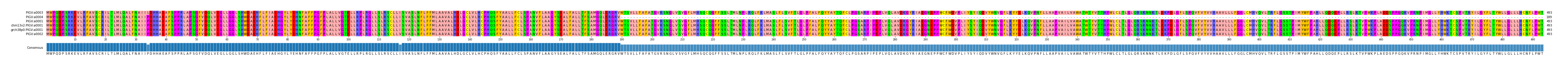 Multiple Alignments (by translate haplotype similarity)