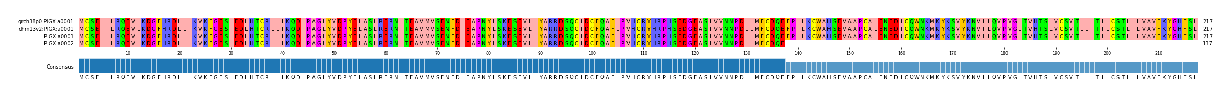 Multiple Alignments (by translate haplotype similarity)