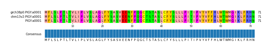 Multiple Alignments (by translate haplotype similarity)