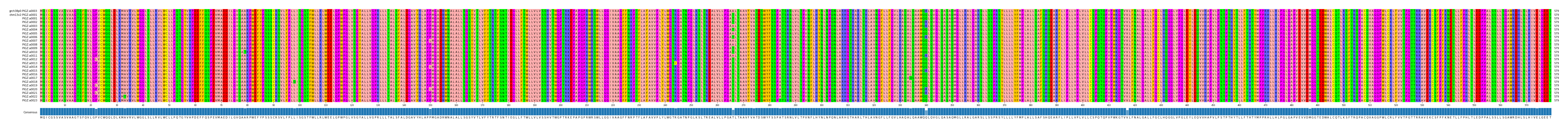 Multiple Alignments (by translate haplotype frequency)