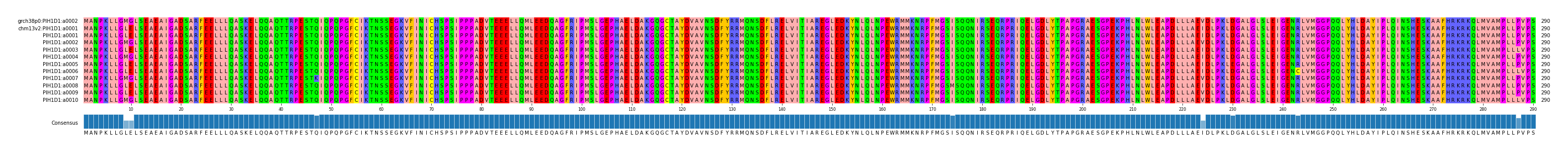 Multiple Alignments (by translate haplotype frequency)