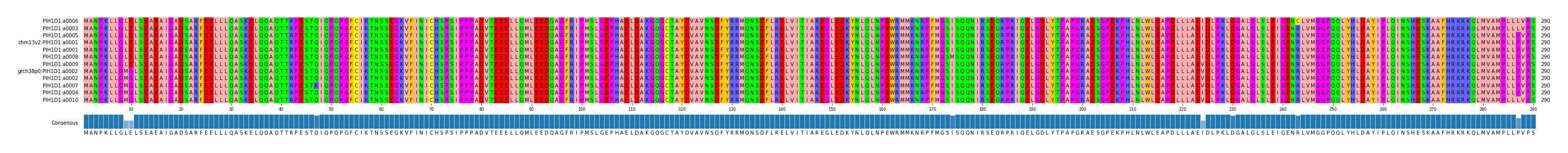 Multiple Alignments (by translate haplotype similarity)