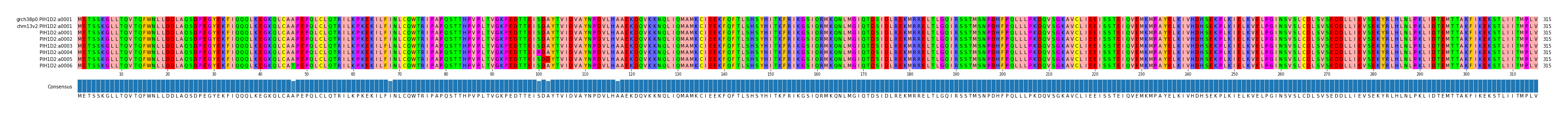 Multiple Alignments (by translate haplotype frequency)