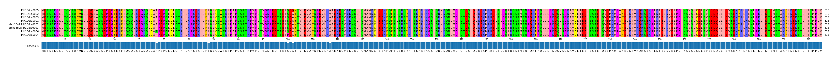 Multiple Alignments (by translate haplotype similarity)