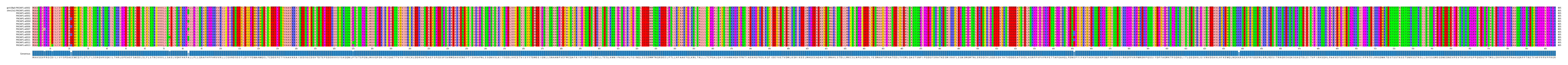 Multiple Alignments (by translate haplotype frequency)