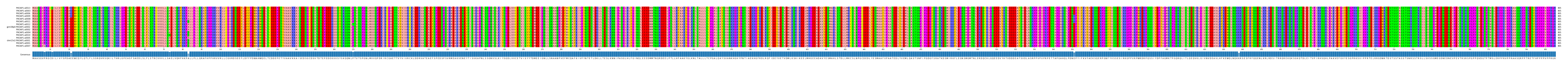 Multiple Alignments (by translate haplotype similarity)
