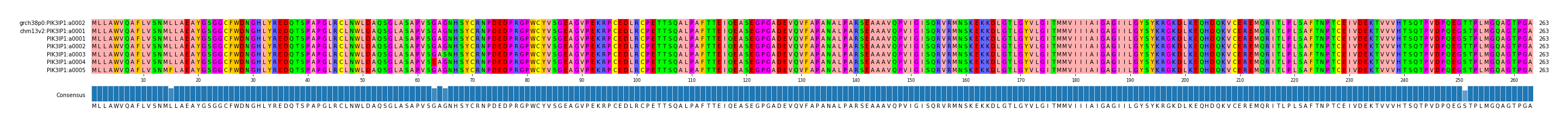 Multiple Alignments (by translate haplotype frequency)