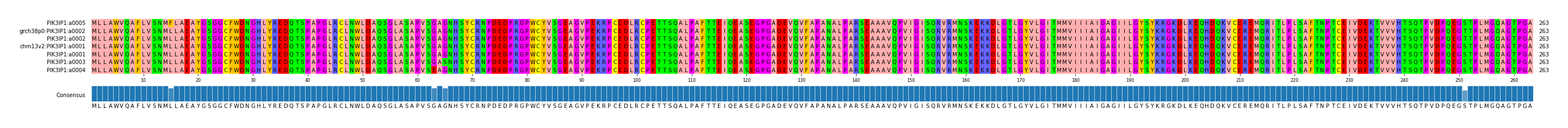Multiple Alignments (by translate haplotype similarity)