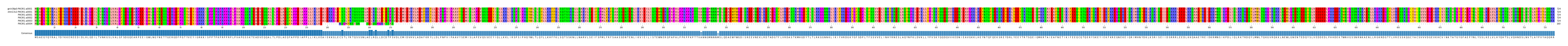 Multiple Alignments (by translate haplotype similarity)
