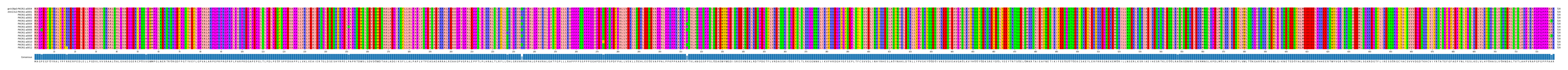 Multiple Alignments (by translate haplotype frequency)