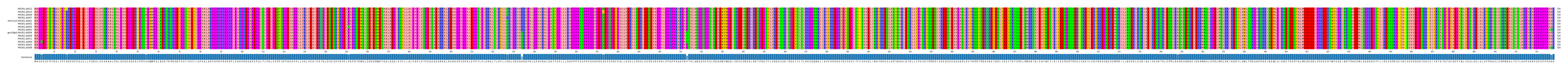 Multiple Alignments (by translate haplotype similarity)