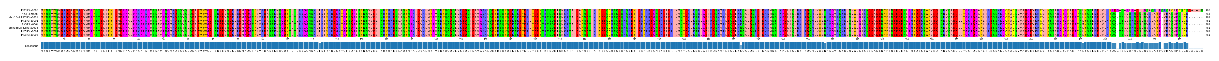 Multiple Alignments (by translate haplotype similarity)