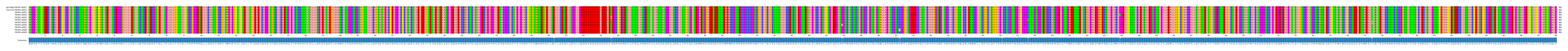 Multiple Alignments (by translate haplotype frequency)