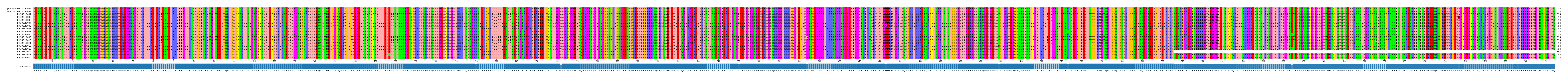 Multiple Alignments (by translate haplotype frequency)