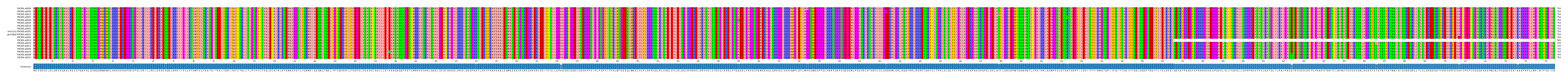 Multiple Alignments (by translate haplotype similarity)