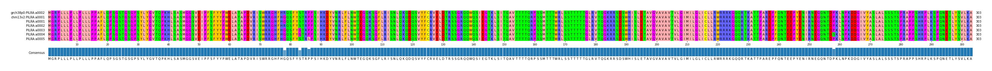 Multiple Alignments (by translate haplotype frequency)