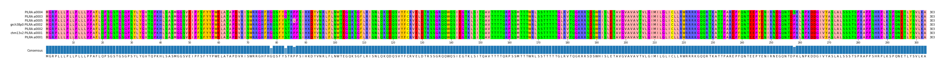 Multiple Alignments (by translate haplotype similarity)