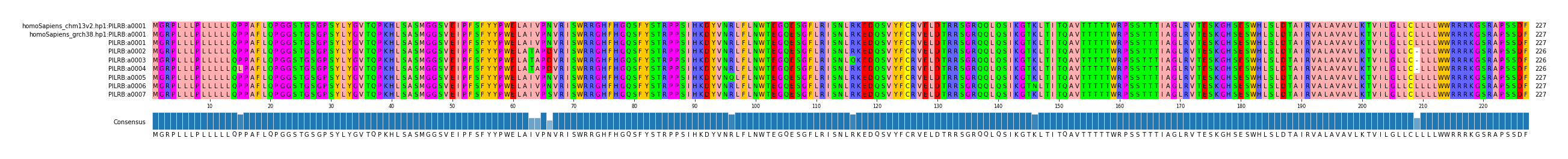 Multiple Alignments (by translate haplotype frequency)