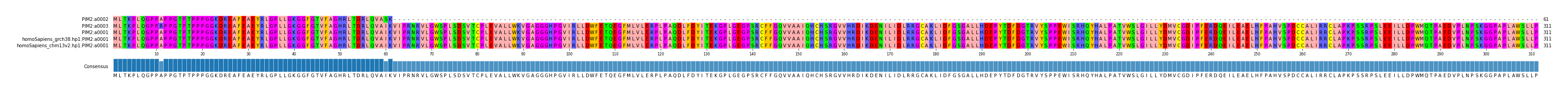 Multiple Alignments (by translate haplotype similarity)