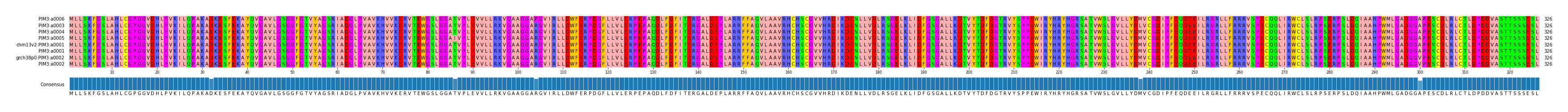 Multiple Alignments (by translate haplotype similarity)