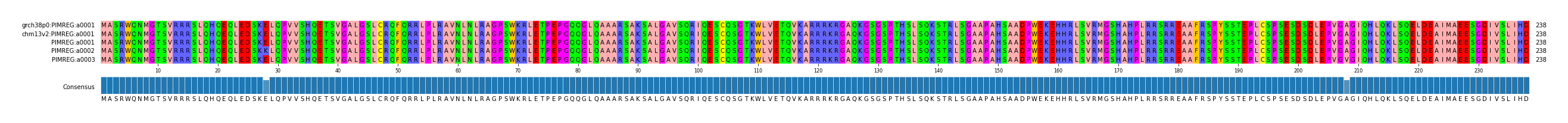 Multiple Alignments (by translate haplotype frequency)