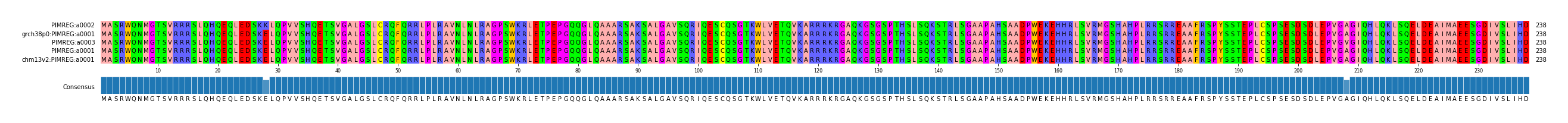 Multiple Alignments (by translate haplotype similarity)