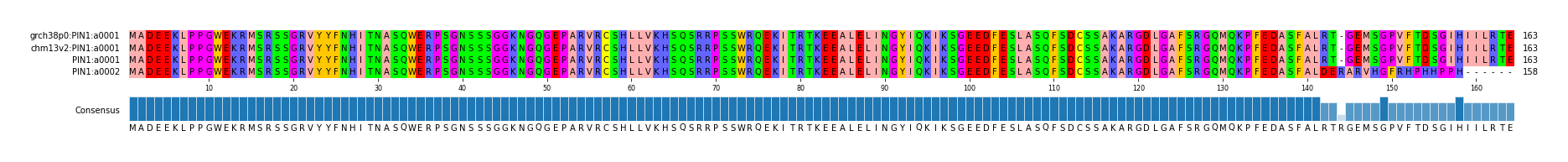 Multiple Alignments (by translate haplotype similarity)