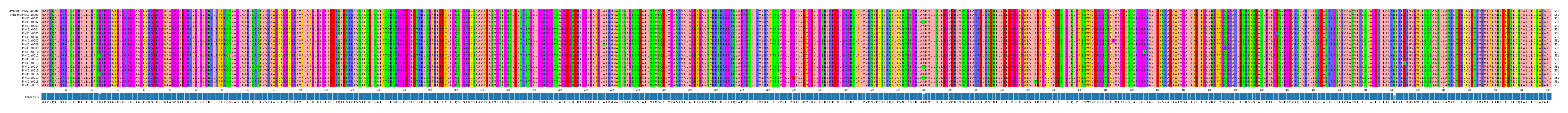 Multiple Alignments (by translate haplotype frequency)