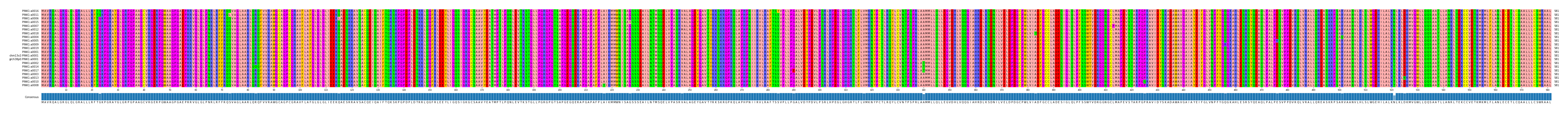Multiple Alignments (by translate haplotype similarity)