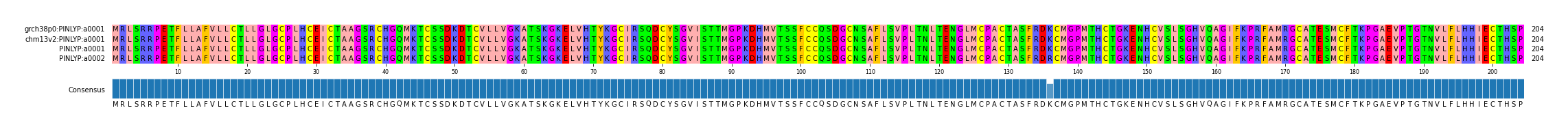 Multiple Alignments (by translate haplotype similarity)