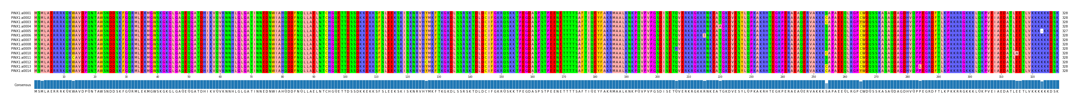 Multiple Alignments (by translate haplotype frequency)