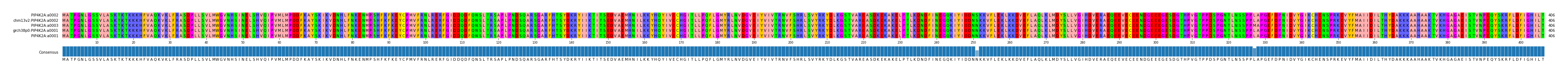Multiple Alignments (by translate haplotype similarity)