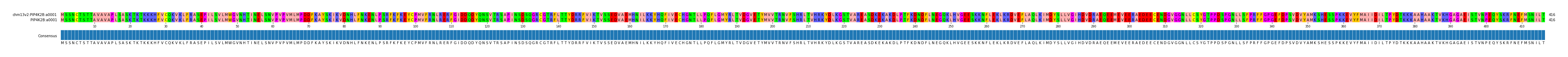 Multiple Alignments (by translate haplotype frequency)